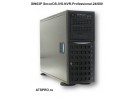 IP- SIN03P SecurOS-IVS-NVR-Professional-24/600