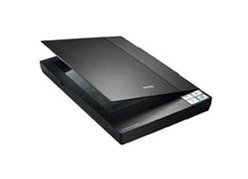 ������ Epson Perfection V30 (�������� �����)