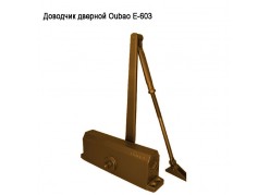 �������� ������� Oubao E-603 ����