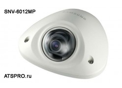 IP-������ ��������� SNV-6012MP ����