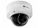 IP-P042.1 (4�) D