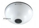 Купольная IP-камера EverFocus EFN3320