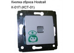 ������ ������ Hostcall  �-01� (���-01)