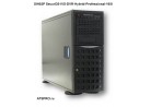 ���������������� ��������� 24-��������� SIH03P SecurOS-IVS-DVR-Hybrid-Professional-16/8