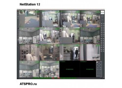    NetStation 12 
