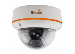 GF-IPDIR4423MPWF1.0 ����