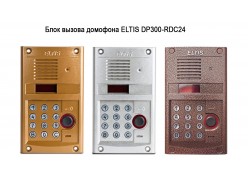 ���� ������ �������� ELTIS DP300-RDC24 ����