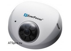  IP- EverFocus EDN1320 