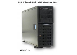 IP- SIN01P SecurOS-IVS-NVR-Professional-9/225 ( ) 