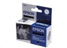  Epson T013401