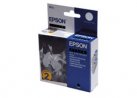  Epson T013402