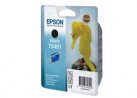  Epson T048140