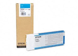  Epson T613200